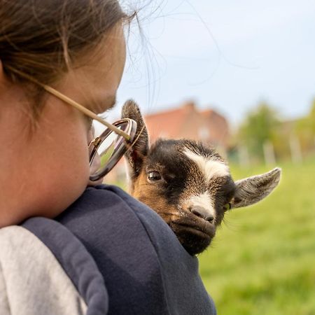 Logements Insolites A La Ferme - Yourte, Kota Ou Pod Farbus Exteriér fotografie