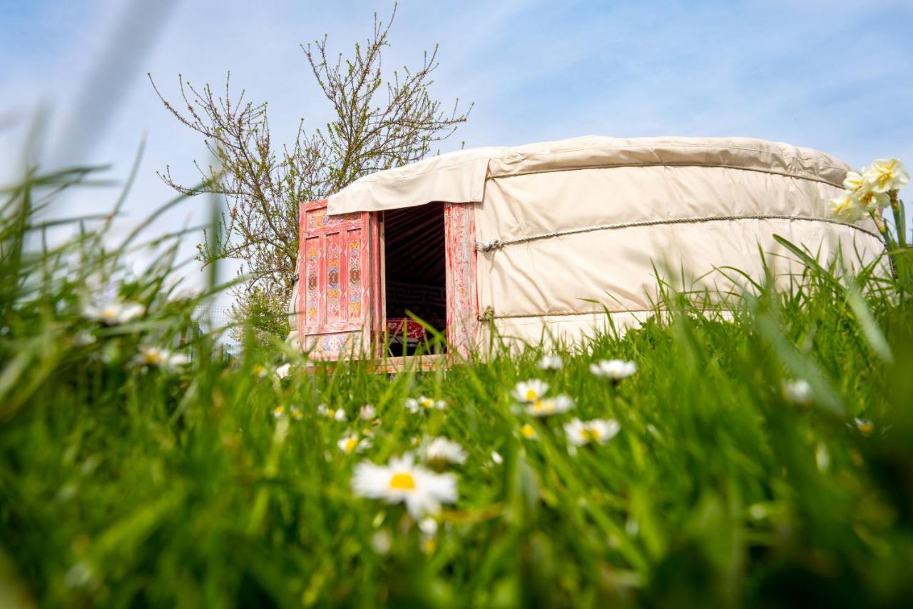 Logements Insolites A La Ferme - Yourte, Kota Ou Pod Farbus Exteriér fotografie