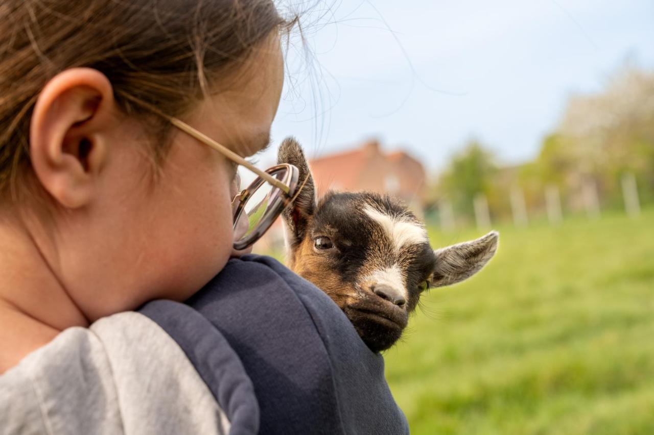 Logements Insolites A La Ferme - Yourte, Kota Ou Pod Farbus Exteriér fotografie